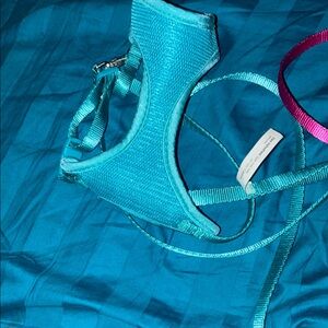 Turquoise Cat Leash Large